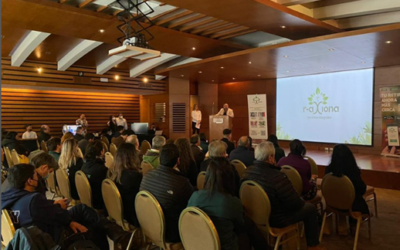 Emprendedores sustentables de la región participan en lanzamiento de plataforma e-commerce “Comercio Verde”